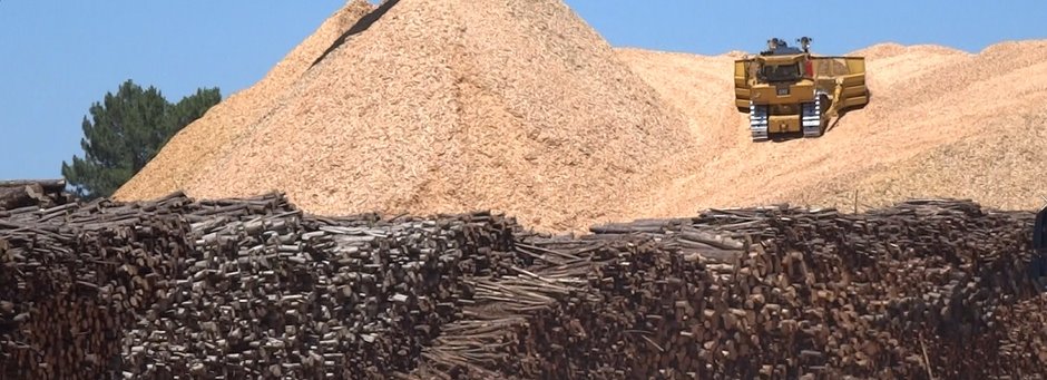 The NL Biomassa Legal Case
